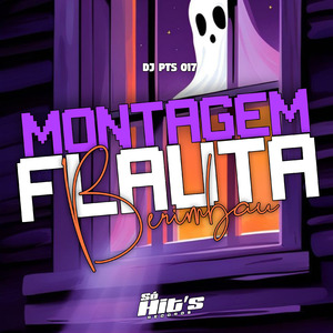 Montagem Flauta Berimbau