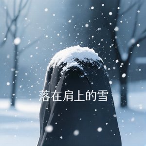 落在肩上的雪.mp3