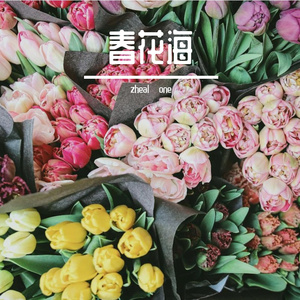 春花海（pt.1）