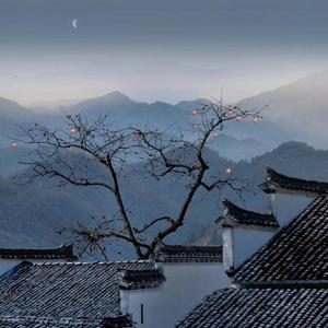 何必遗憾本不能的事情