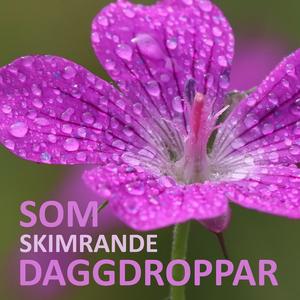 Som skimrande daggdroppar