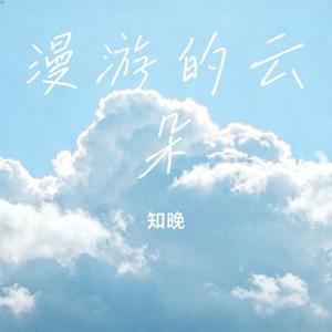漫游的云朵