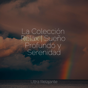 Relájate en Armonía
