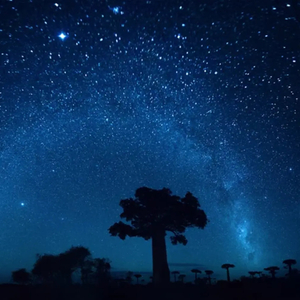 night sky