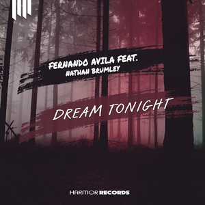Dream Tonight (Feat. Nathan Brumley)