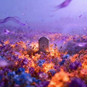 埋葬我的二十岁