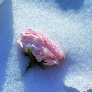 融化冰（prod.YUSENISHERE)