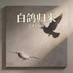 白鸽归来