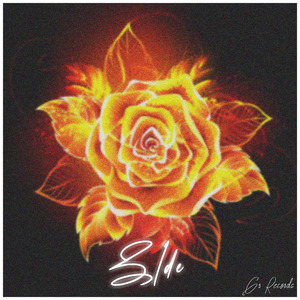 Zide