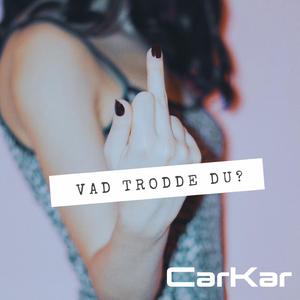 Vad Trodde Du?