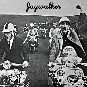 Jaywalker