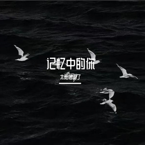 爱而不得的回忆