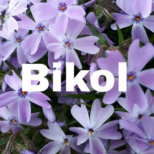 Bikol