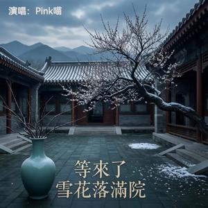 等来了雪花落满院