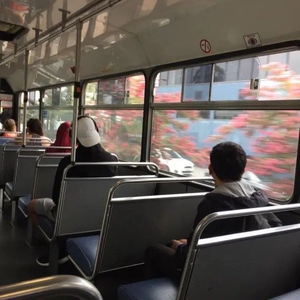 Take Me Hand （LS）