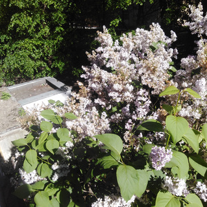 Ничего не доведу до конца