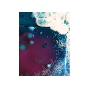 Capillaries