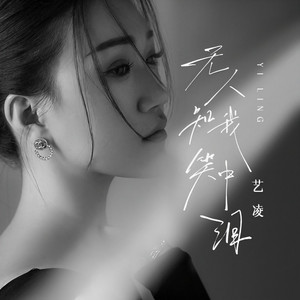 无人知我笑中泪 (DJ阿本版)