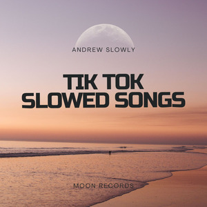 Washing Machine Heart (Slowed + Reverb)