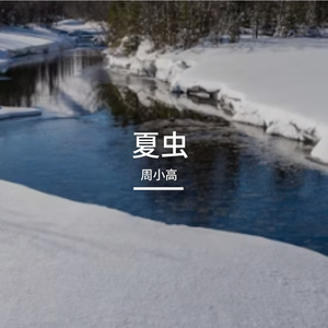 夏虫