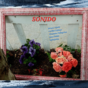 Sonido