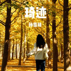 武家坡2021（翻唱）