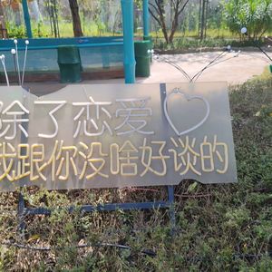 真心爱过 怎么能说翻篇就翻篇