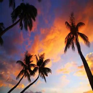 骑上我的摩托车油门拉起来