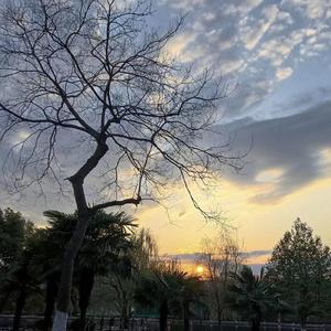 孤独遇 （翻自蘇山海）