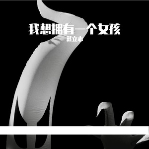 我想拥有一个女孩（戴立志 remix）