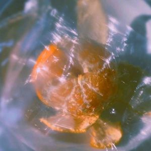 Free Sad Lofi Beat '' only fruit '