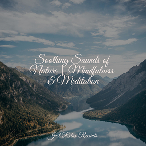 Coconut Swaying Soiree