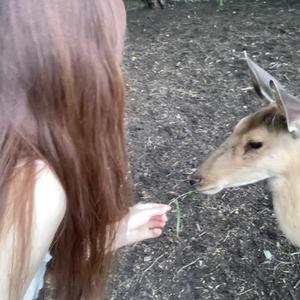 电线杆上的鸟（cover）