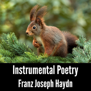 Keyboard Sonata No- 59 Hob- 49 in E-Flat Major, Op- 59, Hob- 49 I- Allegro