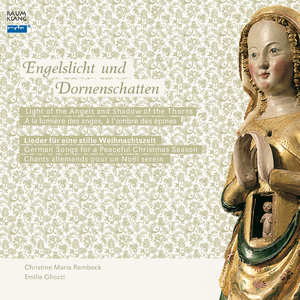 Am Weihnachtsbaum die Lichter brennen