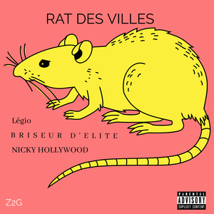 Rat Des Villes