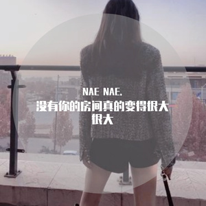 我的宝贝（NAE NAE. remix）