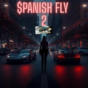 NYC Subway ABCDE 23456 RN