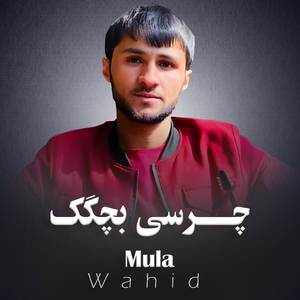 Balai Jane Ensan Ast Do Chashmanash