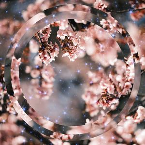 A Gentle Shower of Joy