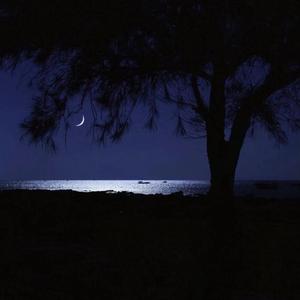 夜里看海（demo）