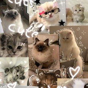 PROBLEMATIC (slowed)