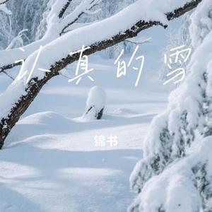 认真的雪 (Cover 薛之谦)