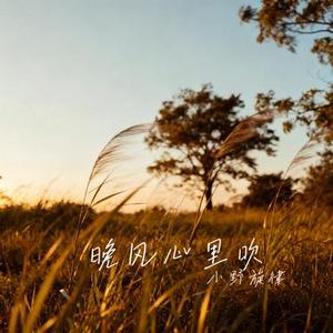 晚风心里吹 (Cover 阿梨粤)