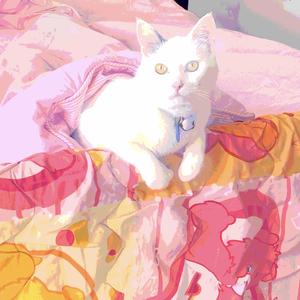 what you wont do for love