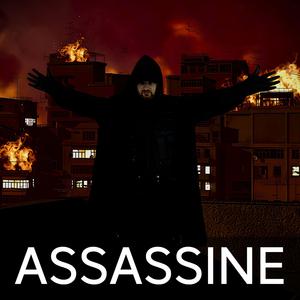 Assassine