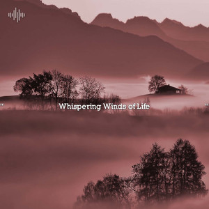 Surf Waves For Sleep