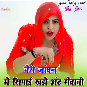 तेरी जांघन मे सिपाई खडो अंट मेवाती