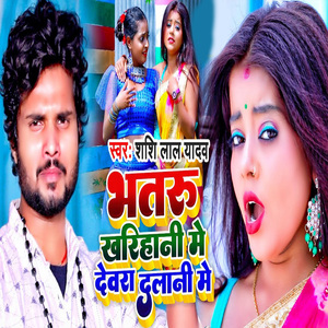 Bhataru Khariyani Me Devara Dalani Me