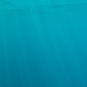 emo云朵回收计划